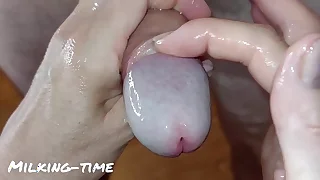 Ultimate Glans Massage Technique&colon; Part 3 &lpar;Milking-time&rpar;